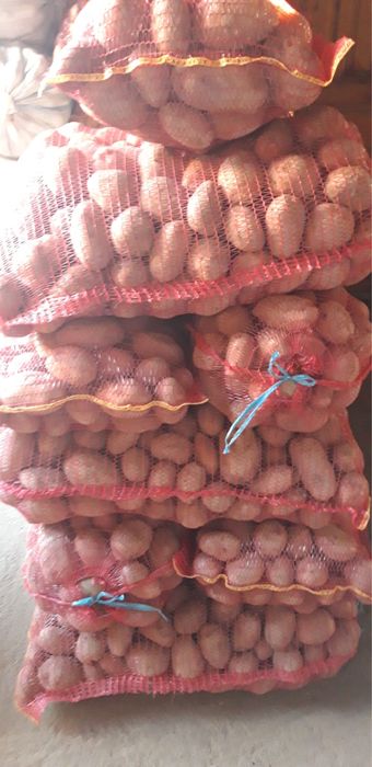 Vând cartofi de consum