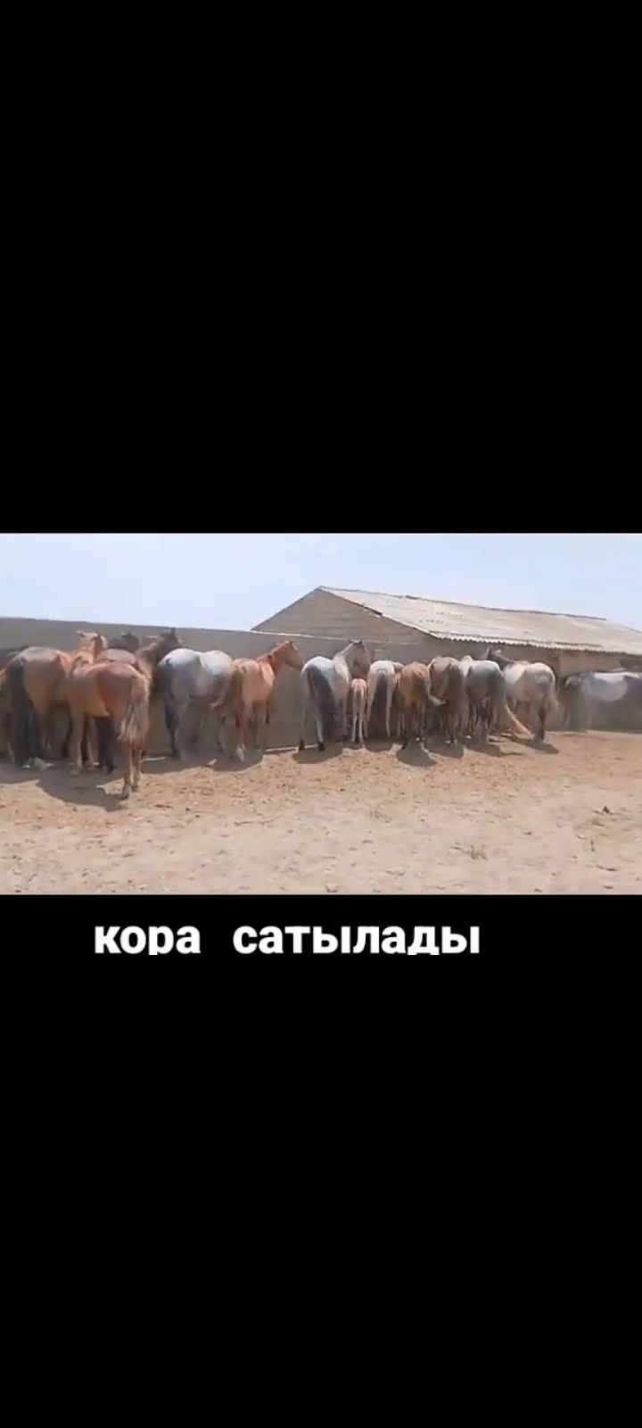 қора сатылады 200млн