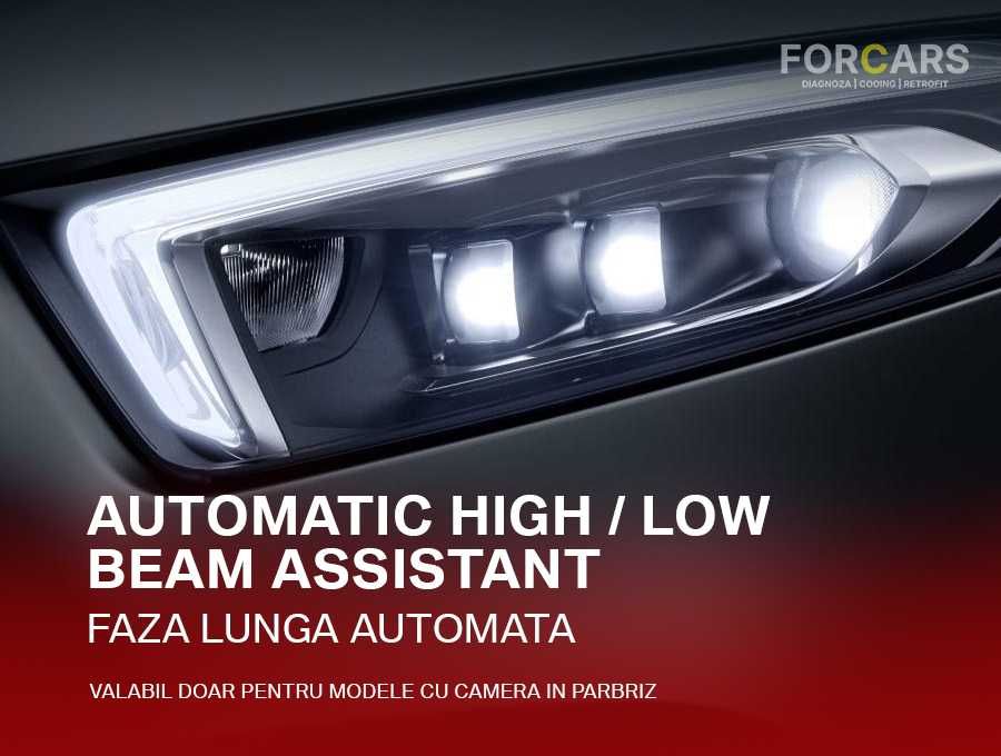Diagnoză / Codări / Adaptări / Activări Funcții Ascunse Mercedes-Benz