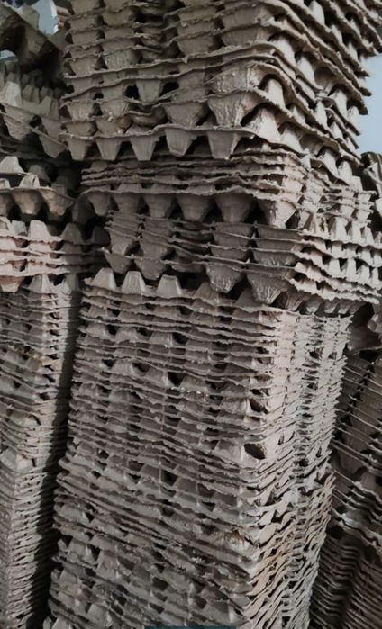 Каретки / лотки для яиц