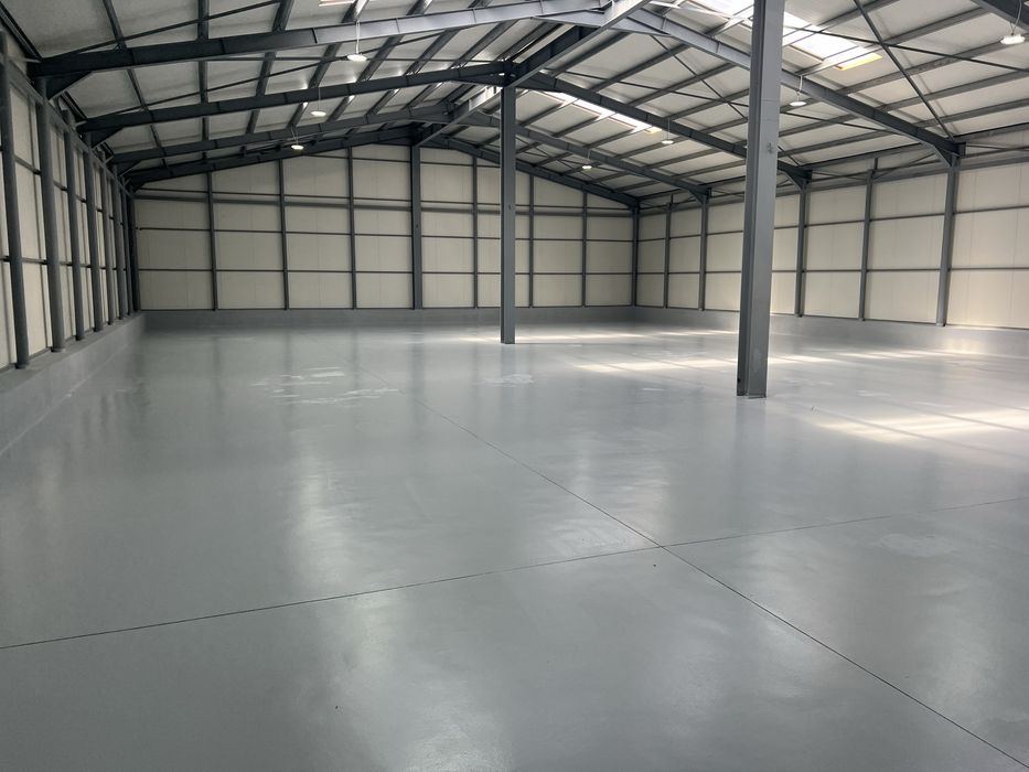 Hale de inchiriat Ovidiu Constanta / Langa autostrada A4