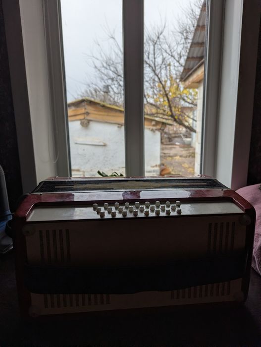 Продам гормошку состояние идеальное