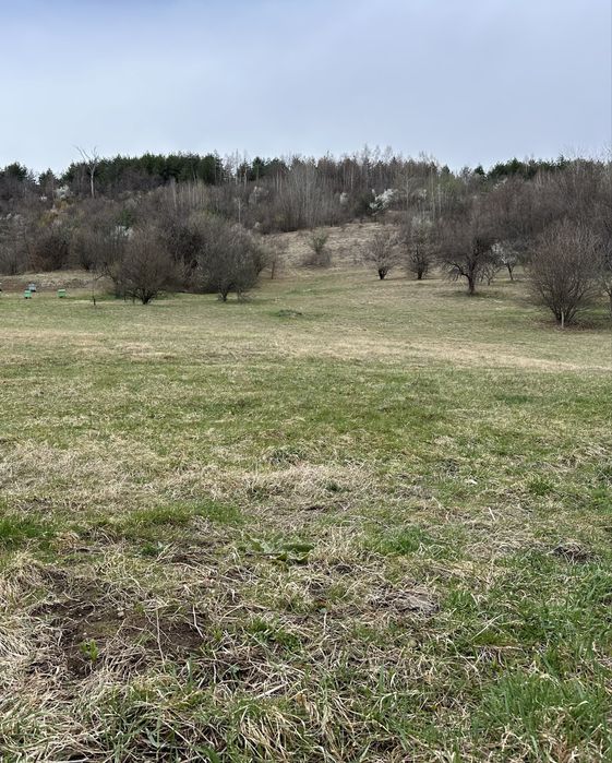 Продава се Парцел в с. Грамаждано, Област Кюстендил - 11687 кв.м за 3 €/кв.м - Снимка #2