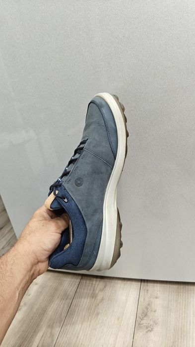 Ecco. Nr.   46..