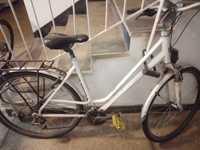 Bicicleta Devron Brighton oras