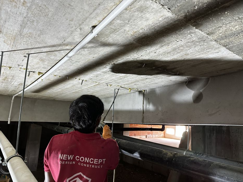 Injectari structurare