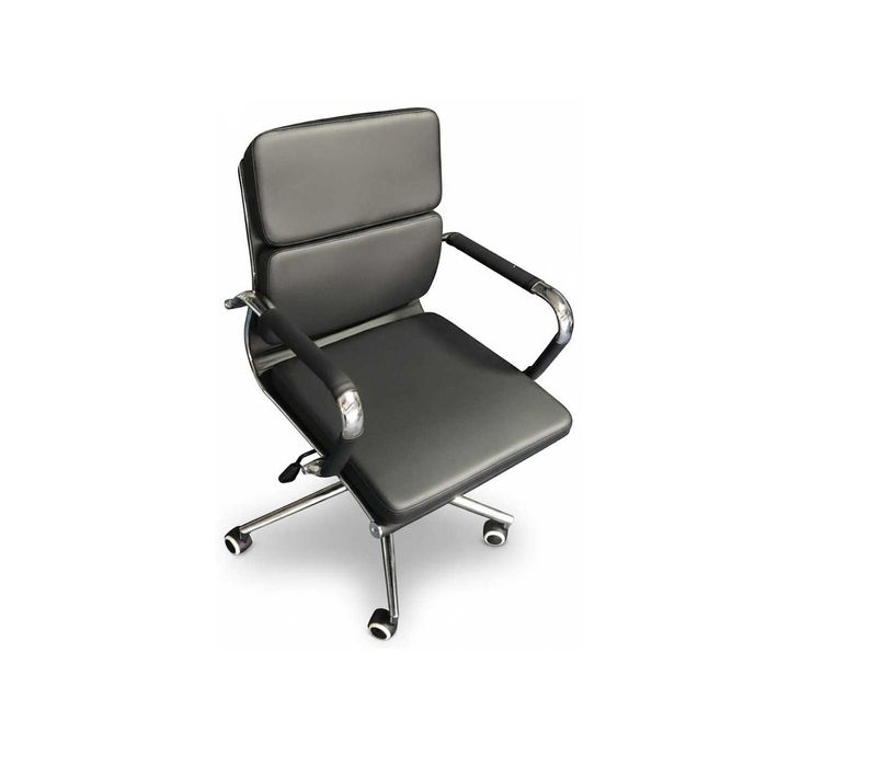 Scaun Ergonomic Prince