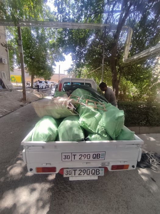 Musr tashish xizmati.Turli xildagi musrlar olob ketamz.