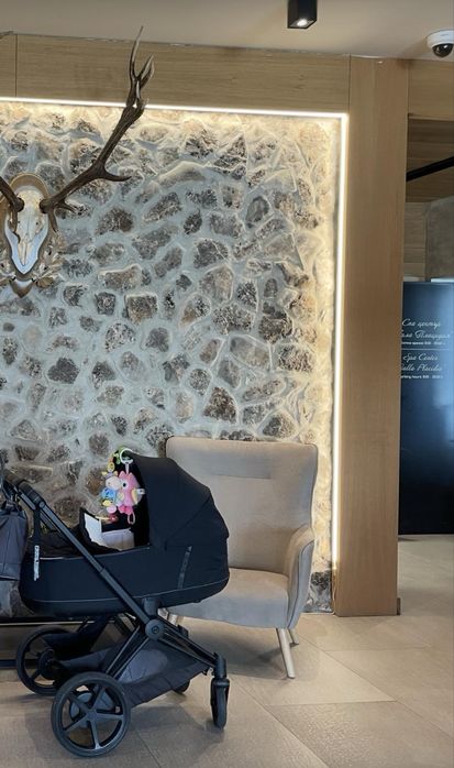 Уникална Количката CYBEX E - Priam