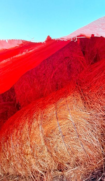 Vând baloți de fân și lucernă