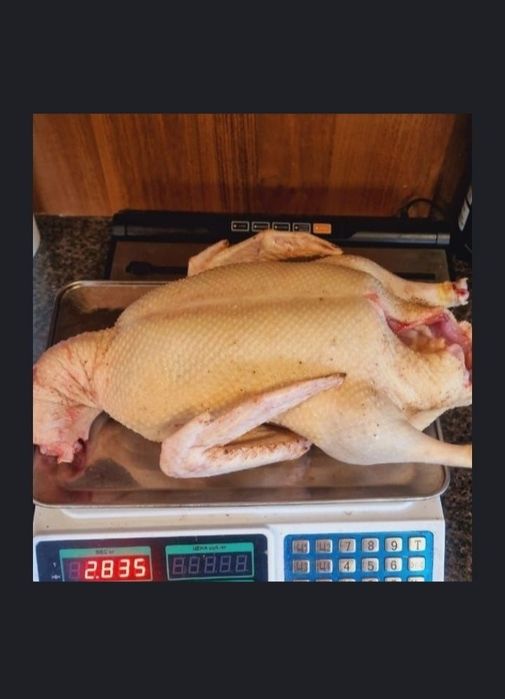 Продается мясо Гуся