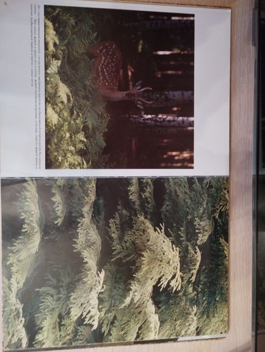 Продам иллюстративную книгу с фотографиями