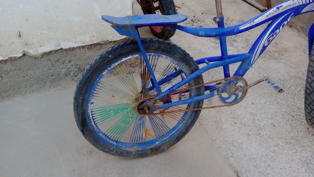 Velosped Bars 20 2024