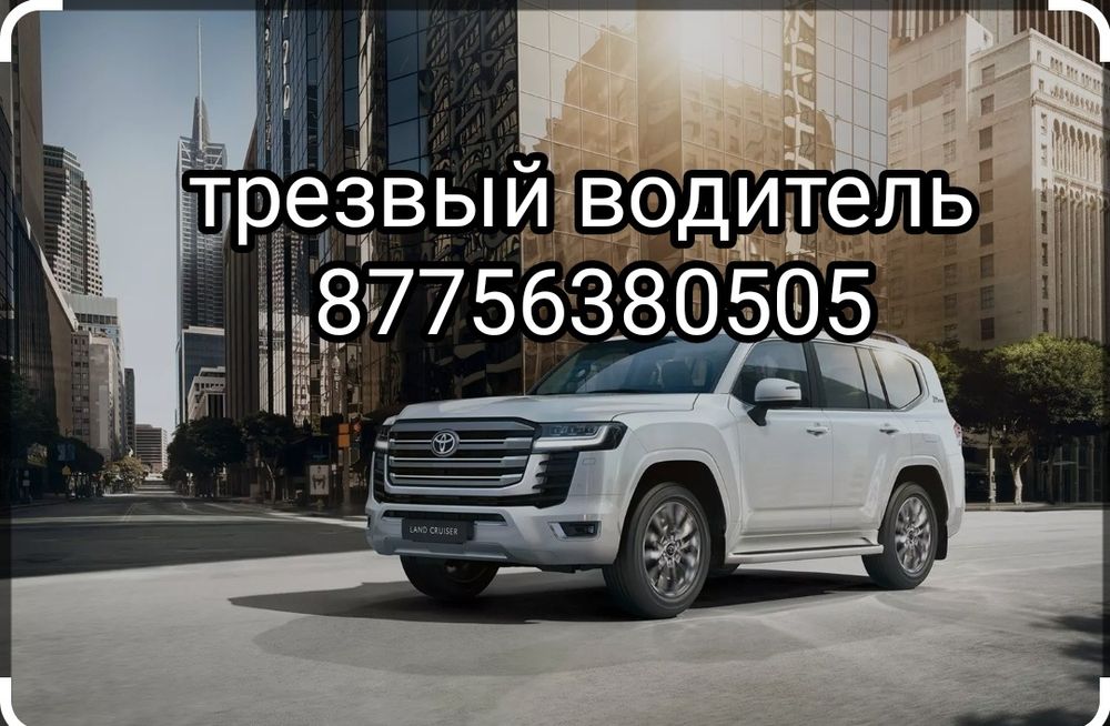 Трезвый водитель