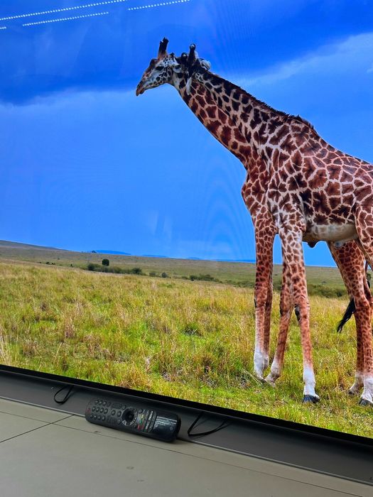 LG OLED 55C12LA 139 CM Garantie 12 Luni CashBox