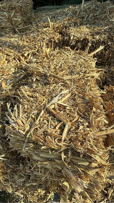 Baloti paie si coceni