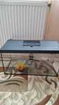 Acvariu 50 L cu filtru si termometru
