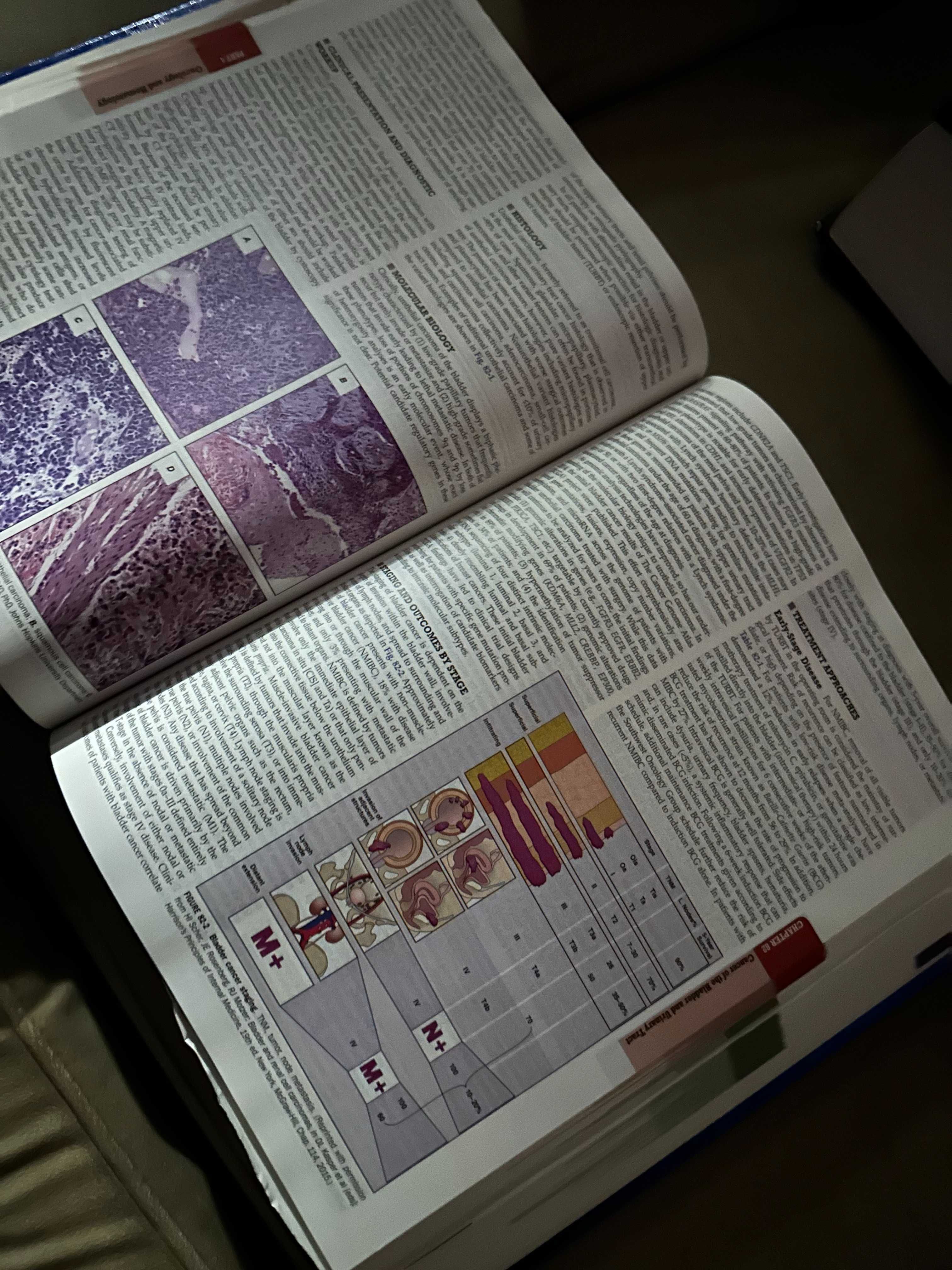 Tratat Harrison in engleza editia 20