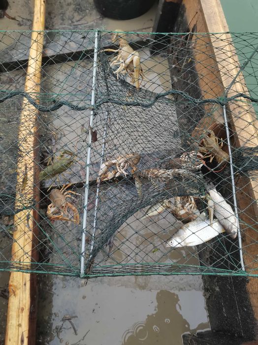 Vând capcane Raci profesionale