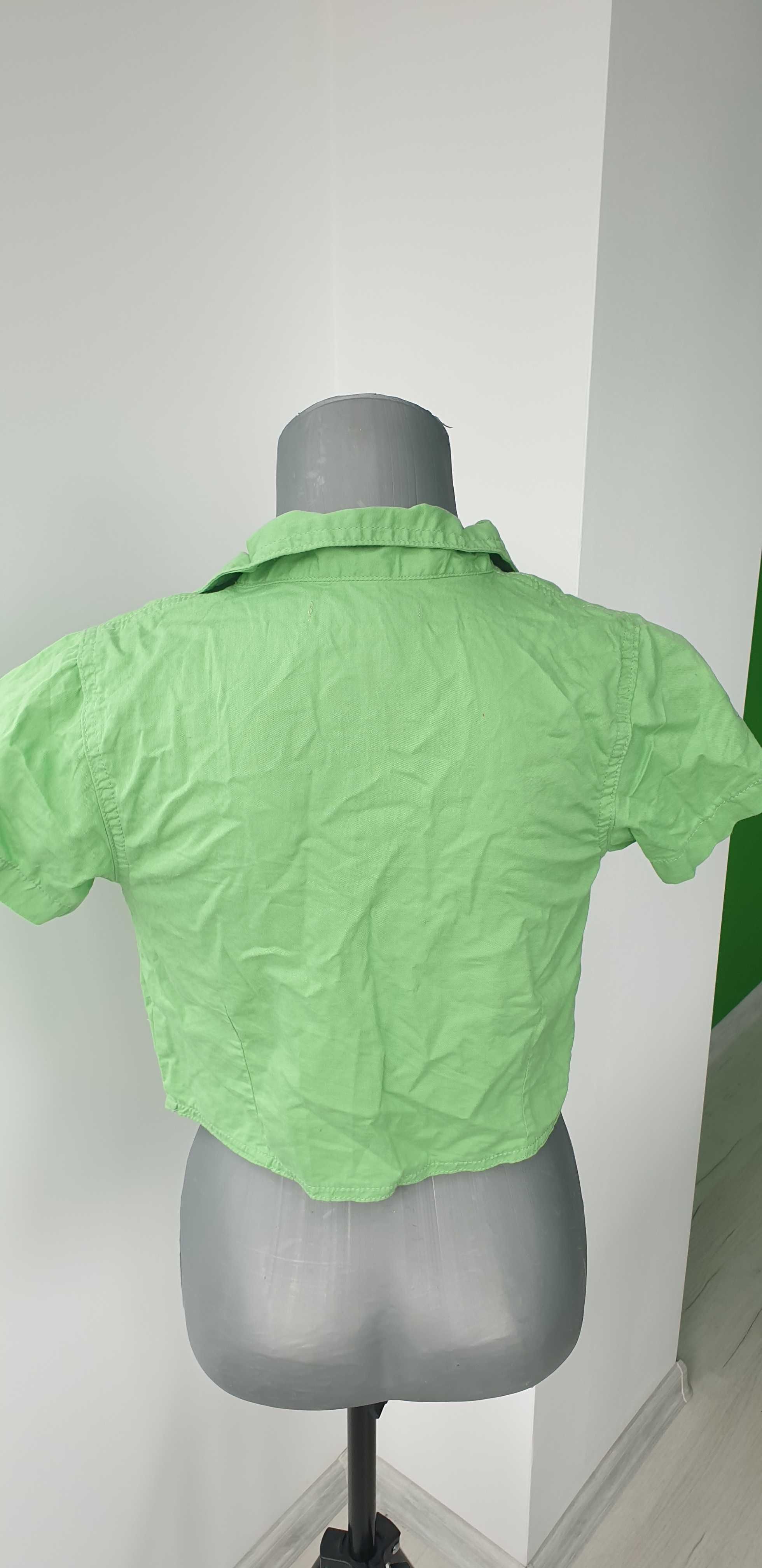 Риза зелена на цвят