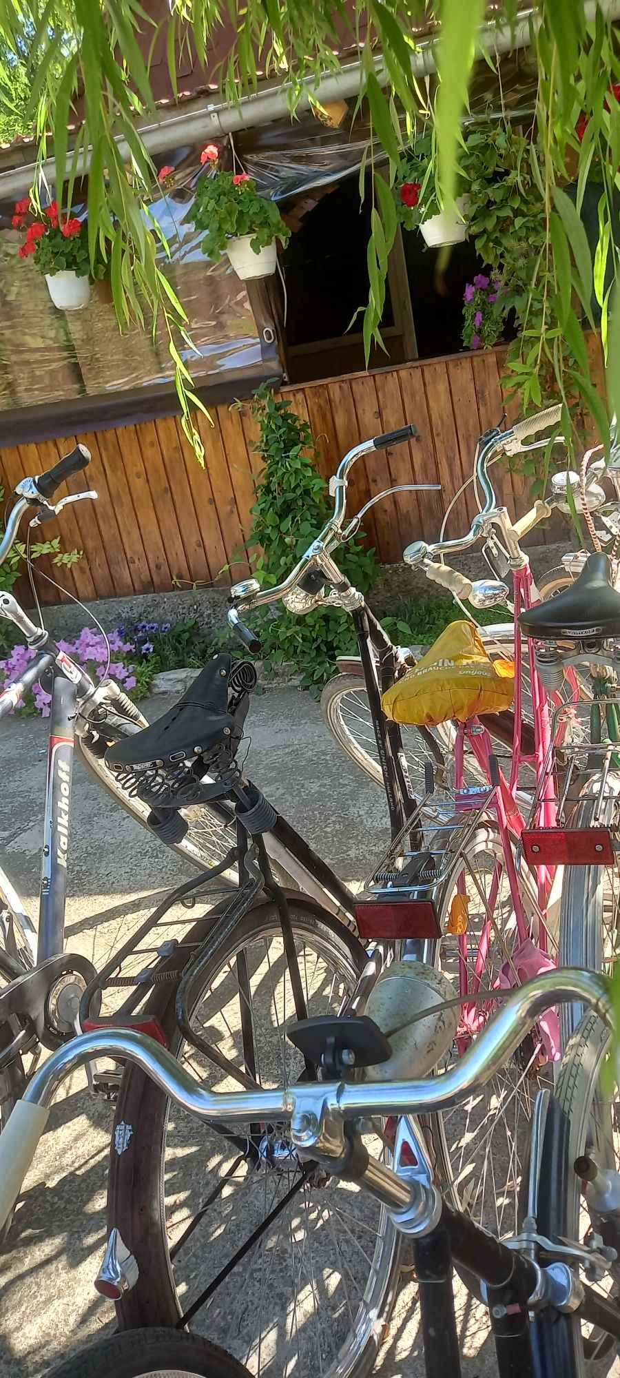 Biciclete de epoca