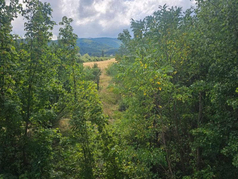 Дава се под наем Тристаен апартамент в София, Симеоново - 87 кв.м за 749 € - Снимка #7