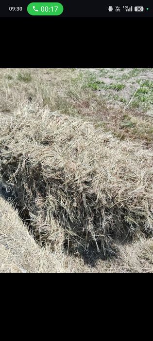 Vând baloți de fân și de paie grau 2025