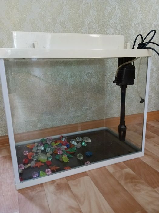 Продам аквариум, оборудованием и рыбками