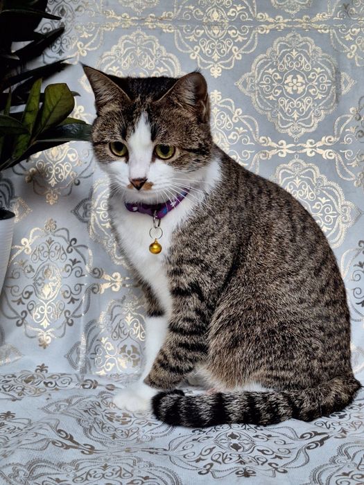 Только самым ответственным