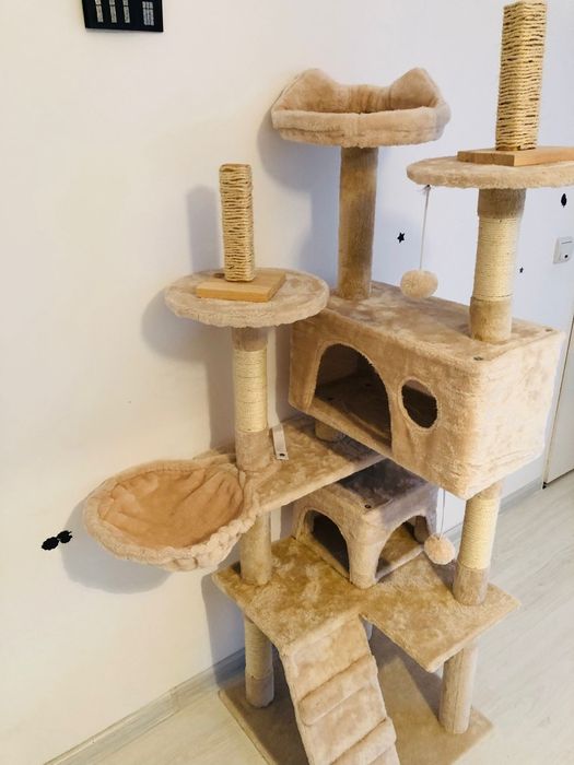 Cazare pentru pisici și alte animaluțe mici