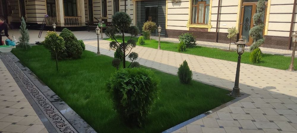 Gazon palif urnatamiz