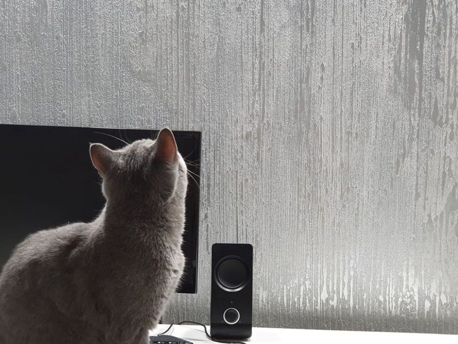 Istinto (Travertino) Giorgio Graesan, finisaj decorativ, 24kg