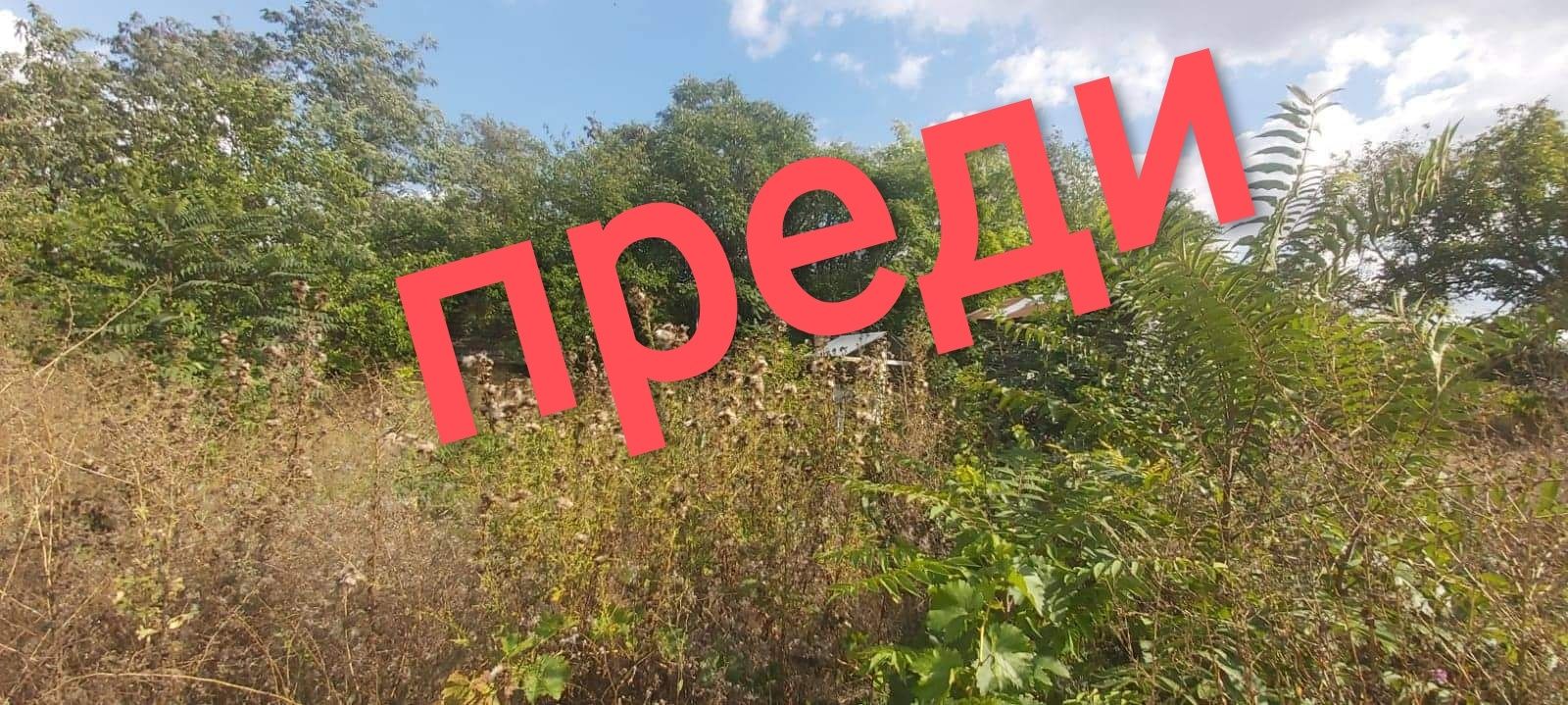 Косене  и чистене на дворове