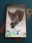 Samsung Tab S6 lite tableta 10.4 inch cu sim stare buna