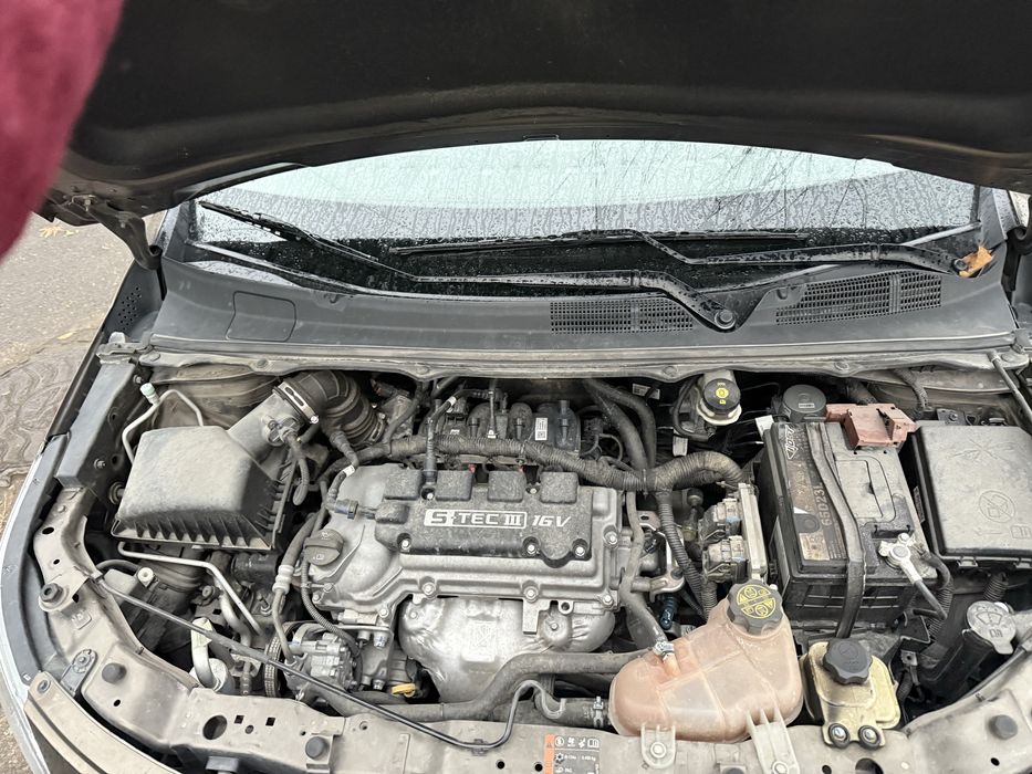 Срочно продается кобльт 2023год вупуска