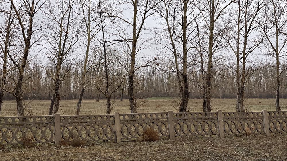 Продам земельный участок в Жангызкудык (Красноярка) под лесоразведение