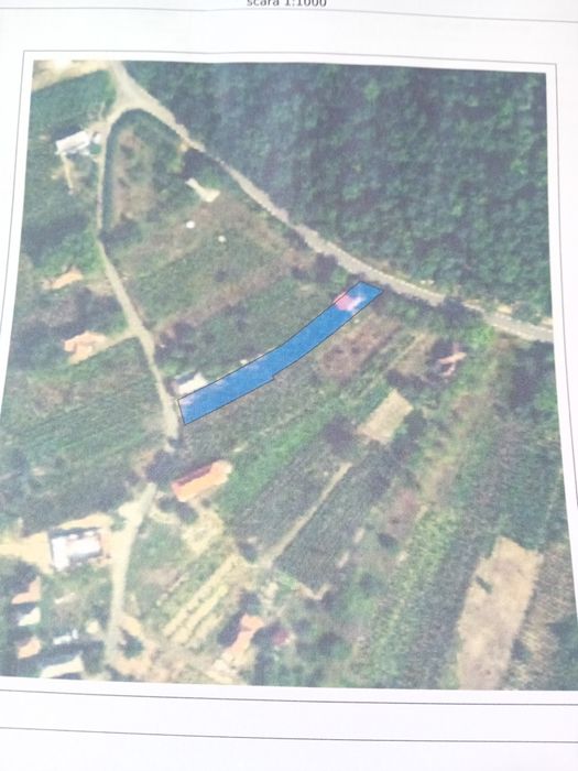 Vând  casâ de vacanta cu vie