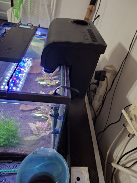 Acvarii si accesorii