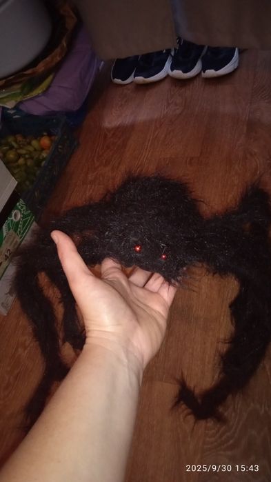 Паук украшения на хелуин.