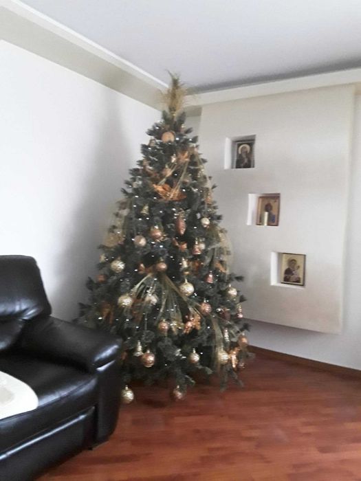 Brad de Craciun cu accesorii incluse