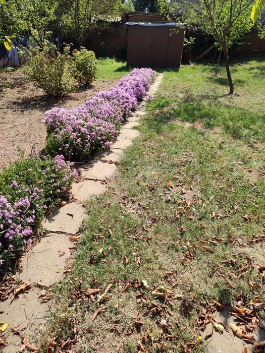 Продава се Къща в с. Яна, Област София-град - 56 кв.м за 2483 €/кв.м - Снимка #3