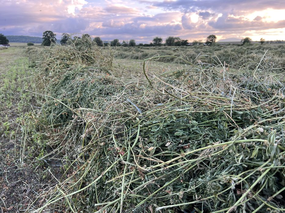 Baloti lucerna baloti fan role rotunde