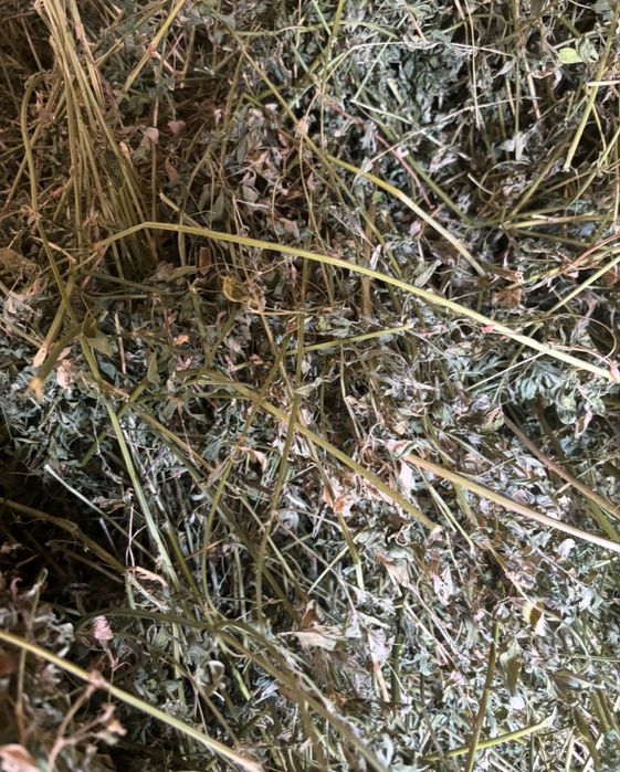 Vand baloti de lucerna