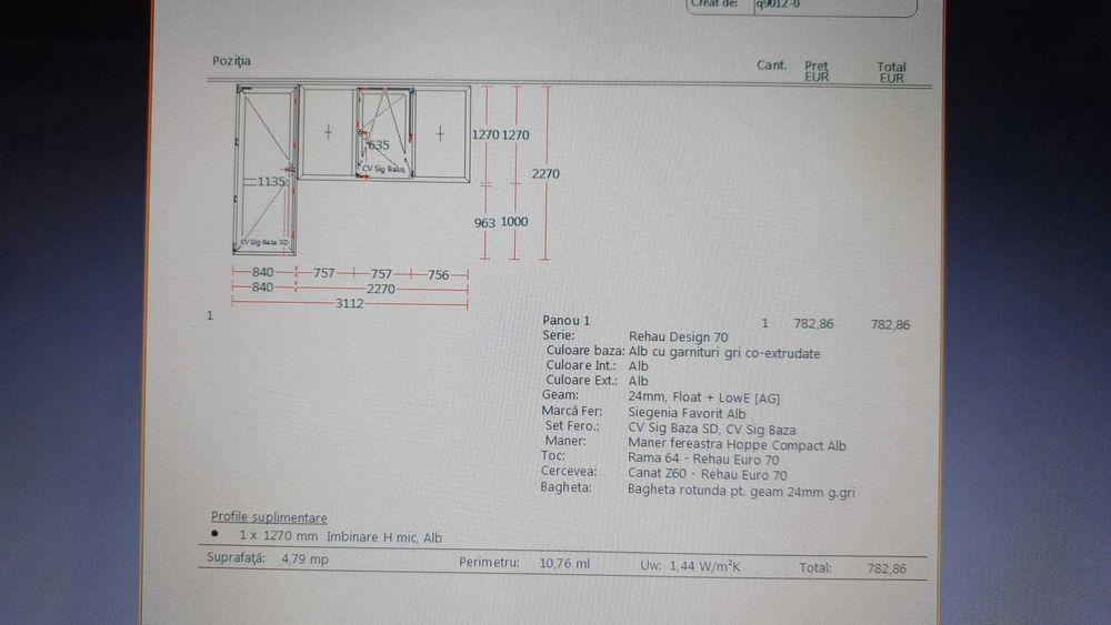 Ușă și geam din termopan