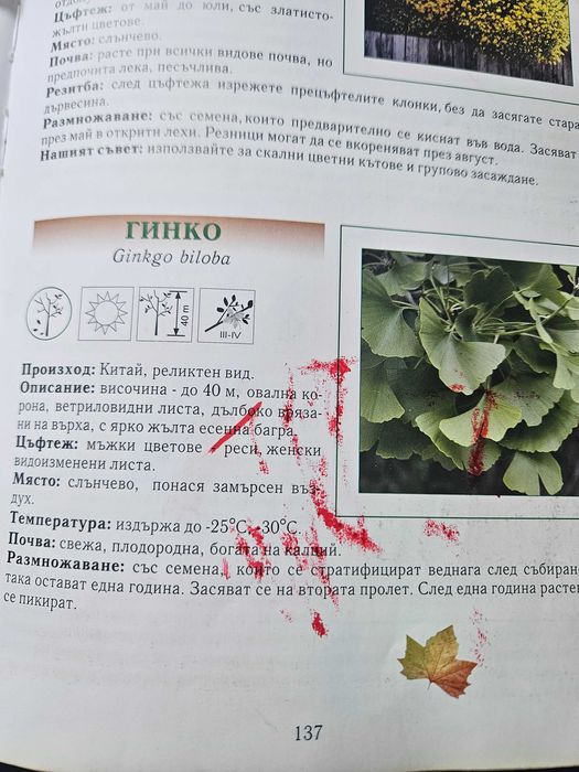 Книги - фентъзи, тийн, хоби, романтика - различни цени