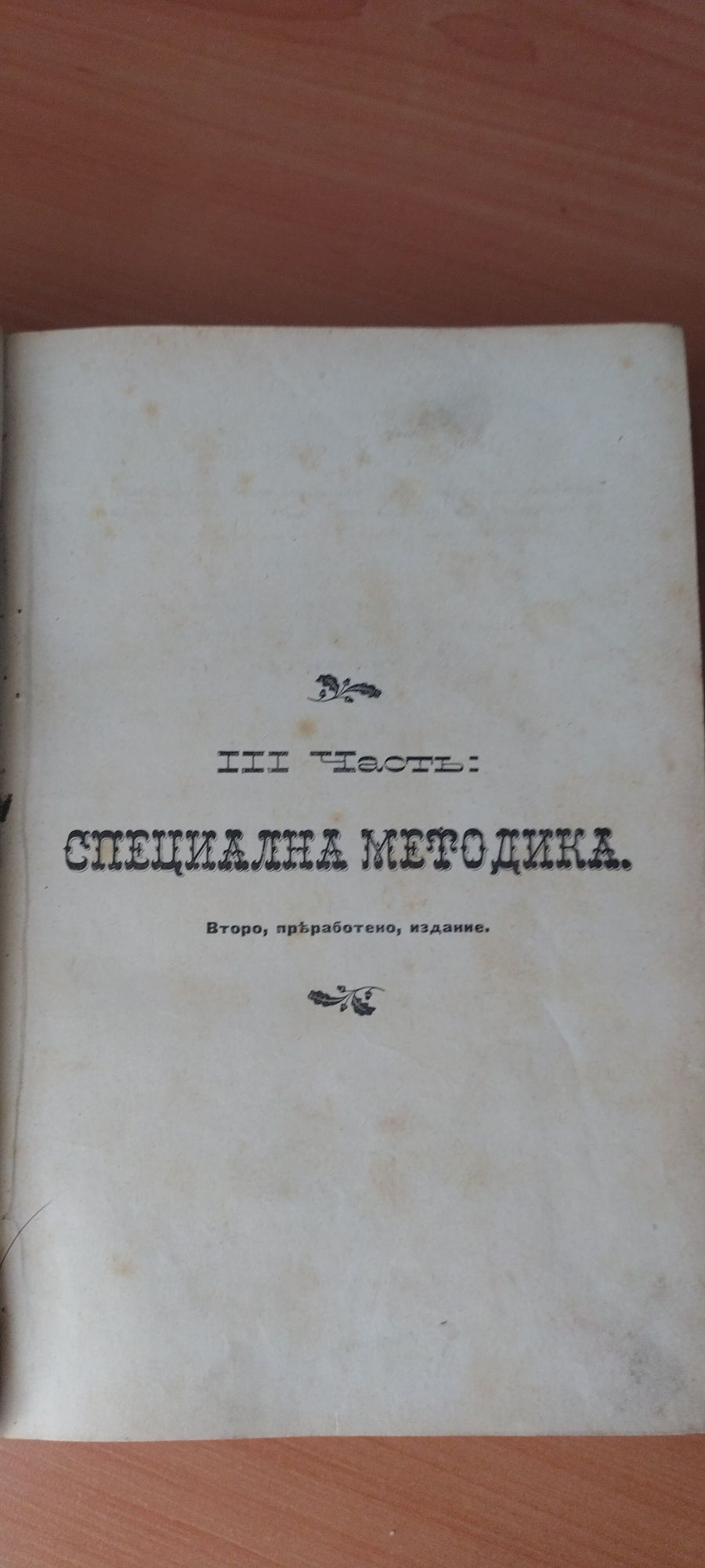 Стефан Басаричек - Педагогия