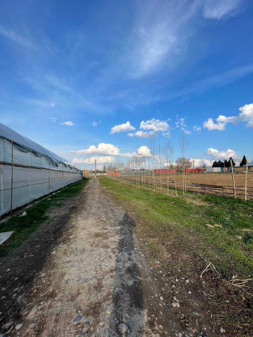 Продаётся  5 гектаров Земли в Янгиюуль