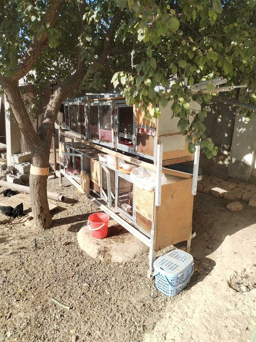 Продаётся домик для кроликов и т. п.,  обл. АВИР,  от Сельхоза 2 км