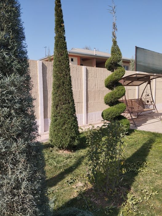 Арча кесиш хизмати дорилаш богбончилкгазон иккиш