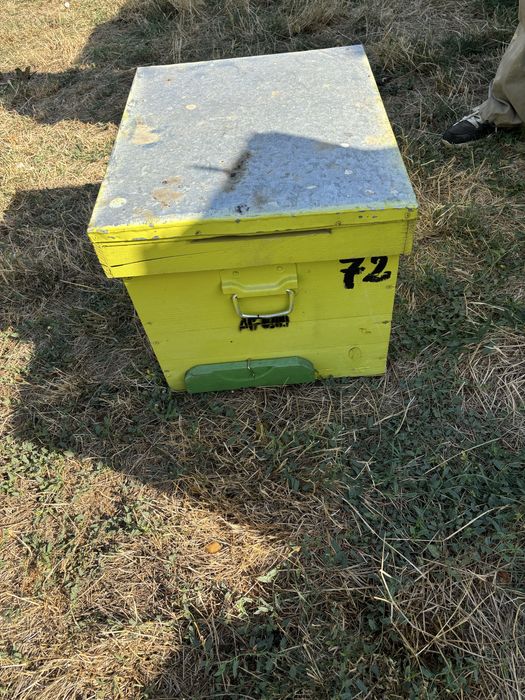 Vand cuti stupi albine